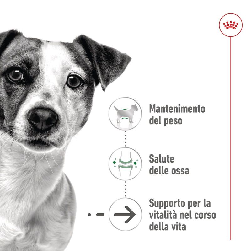 royal-canin-mini-ageing-lattina-multipack-12x195g-10174175-3