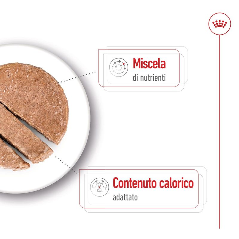 royal-canin-mini-ageing-lattina-multipack-12x195g-10174175-4