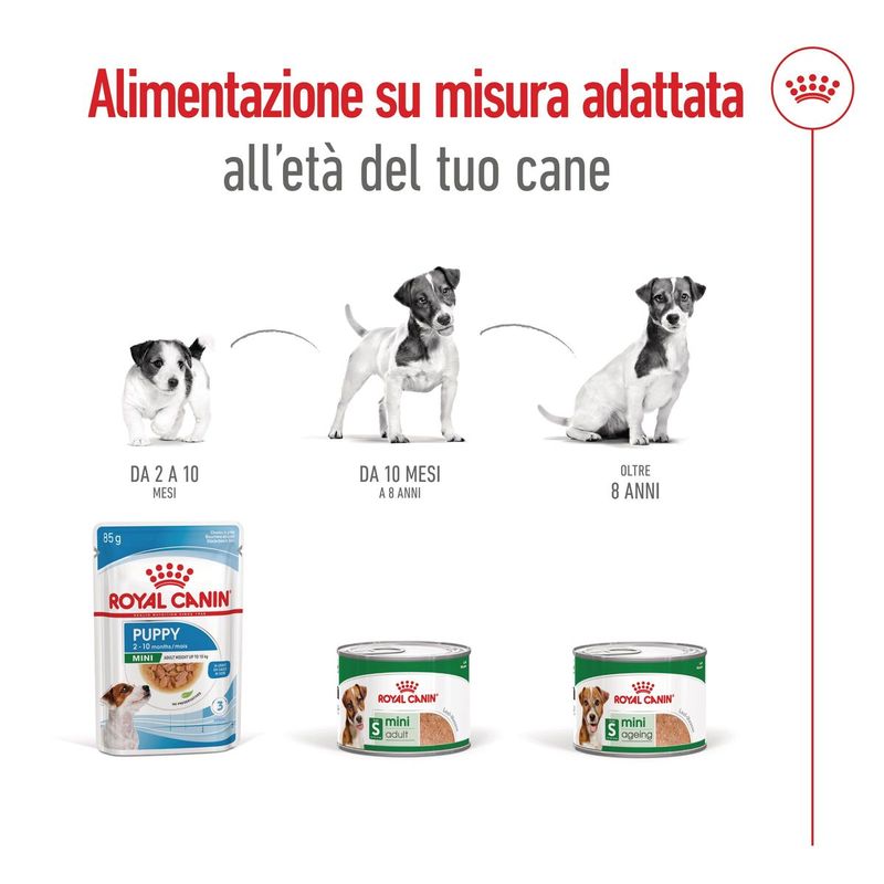 royal-canin-mini-ageing-lattina-multipack-12x195g-10174175-5
