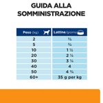 hills-prescription-diet-k-d-kidney-care-spezzettino-per-cani-10176542--5-