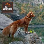 Dogs-Creek-Gioco-Cane-Fagiano-10155001-2