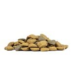 forza10-dog-active-vet-diet-condro-con-pesce-10063380--5-