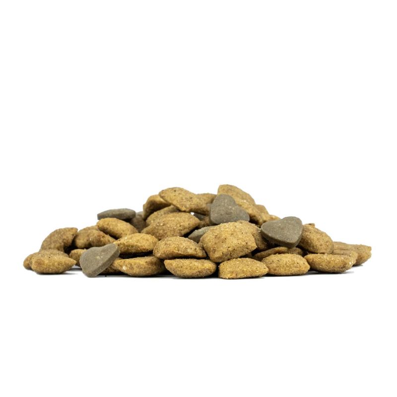 forza10-dog-active-vet-diet-condro-con-pesce-10063380--5-