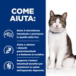 hills-prescription-diet-gastrointestinal-biome-stress-spezzatino-per-gatti-10175753--7-