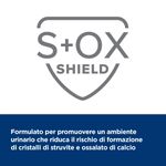 hills-prescription-diet-gastrointestinal-biome-stress-spezzatino-per-gatti-10175753--10-
