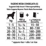 Forza10-All-Size-Adult-Diet-Lattina-400G-10073223-4