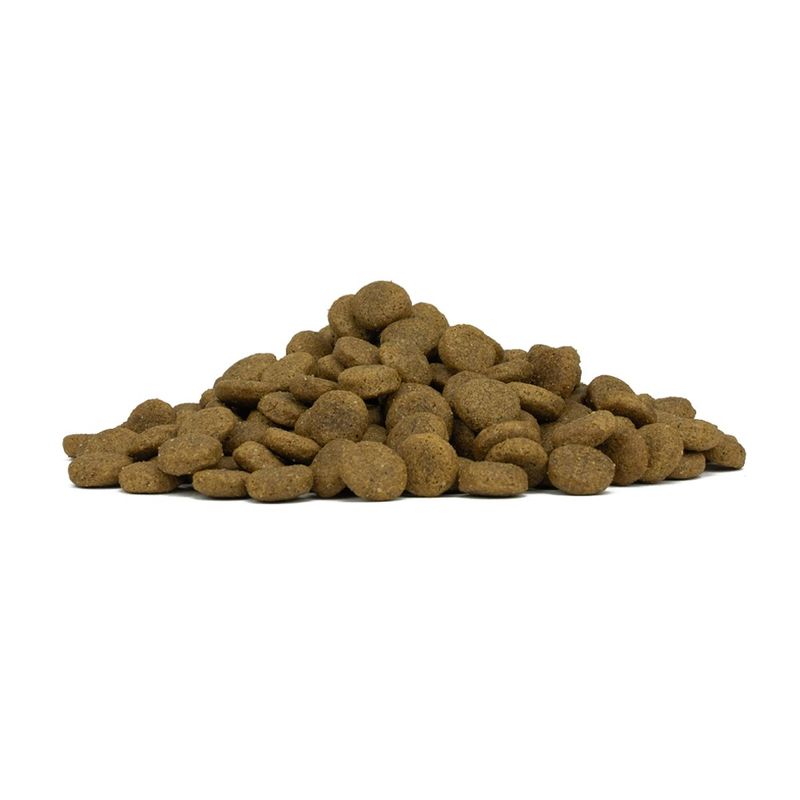 Forza10-MonoDiet-Medium-Dog-Maiale-Con-Patate-10120035-4