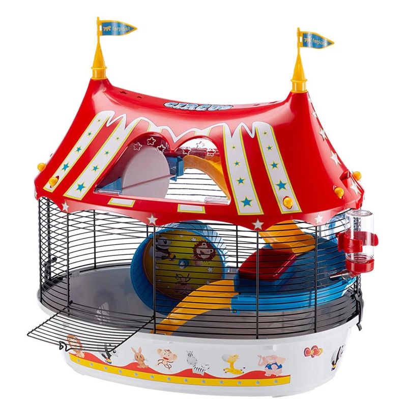 gabbia-circus-fun-10057556--9-