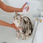 allederm-shampoo-cute-sensibile-10176738--3-