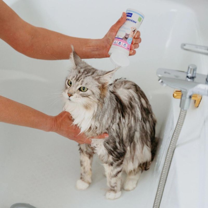 allederm-shampoo-cute-sensibile-10176738--3-