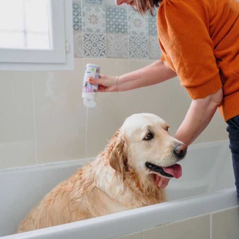 allederm-shampoo-cute-sensibile-10176738--4-