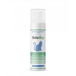 boloway-mangime-complementare-per-gatti-10176798