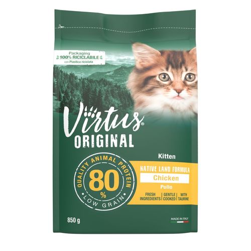 Virtus Kitten Native Land