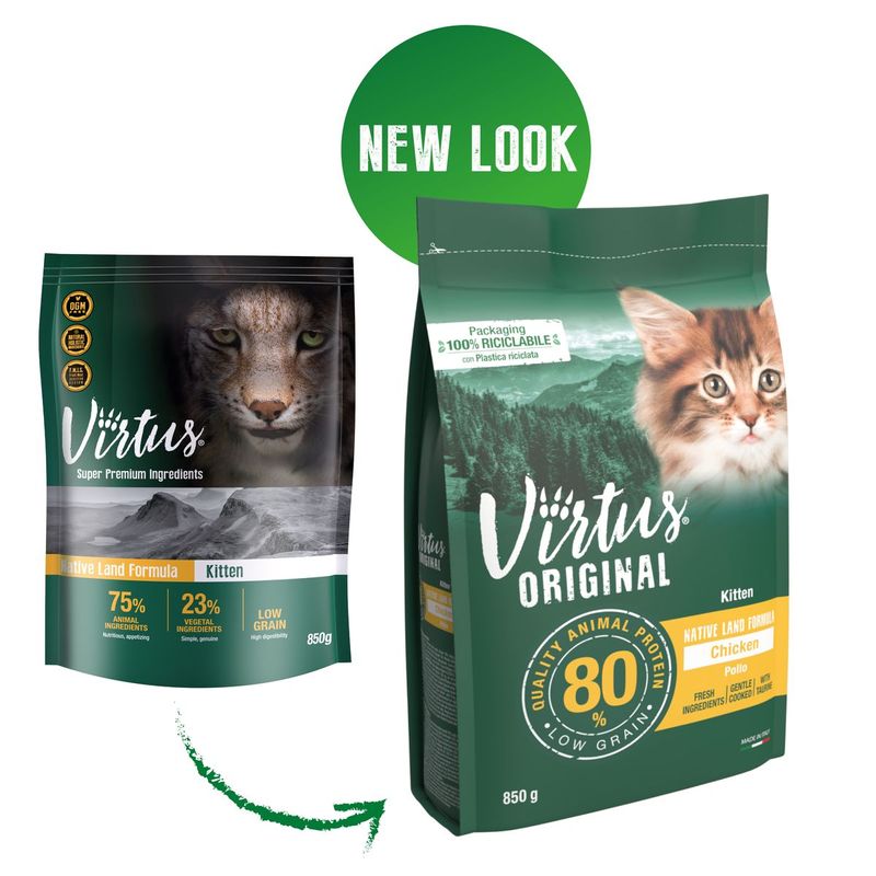 Virtus-Kitten-Native-Land-10078742-5