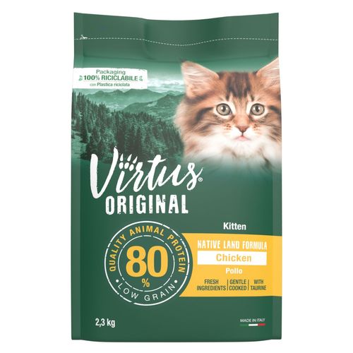 Virtus Kitten Native Land