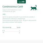 condrostress-cat-mangime-complementare-10176806--3-