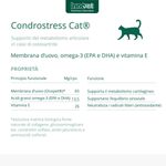 condrostress-cat-mangime-complementare-10176806--4-