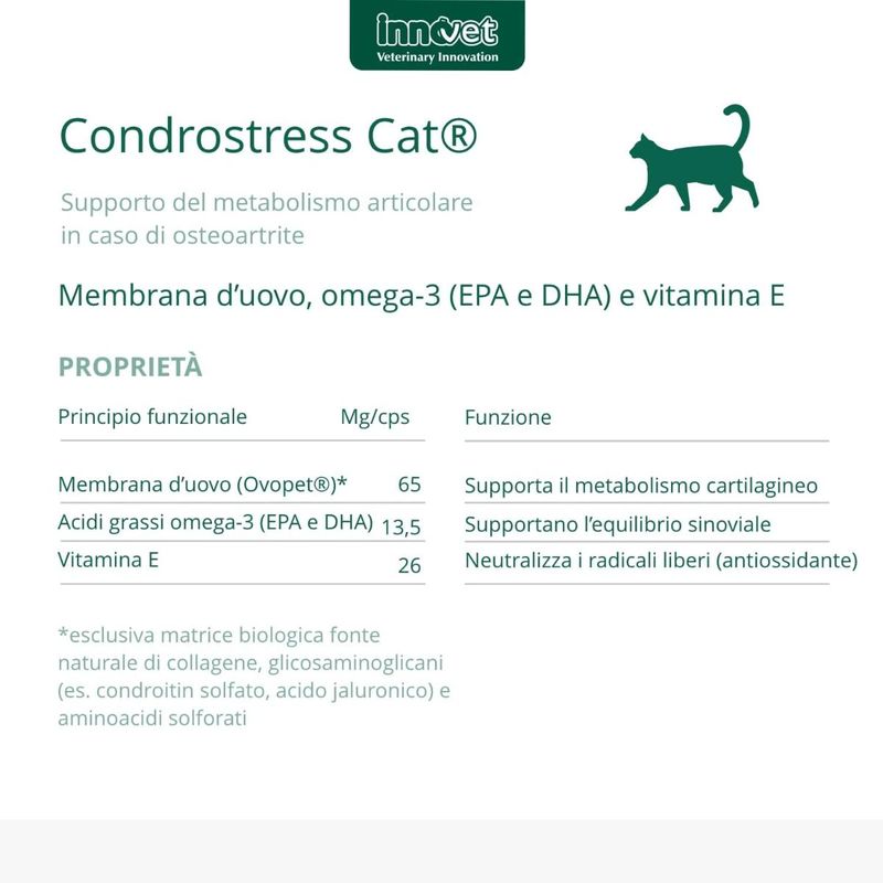 condrostress-cat-mangime-complementare-10176806--4-