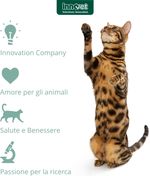 condrostress-cat-mangime-complementare-10176806--7-