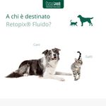 retopix-fluido-10070611--4-