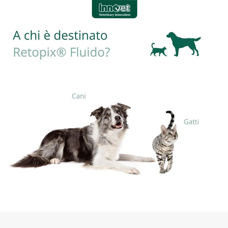 retopix-fluido-10070611--4-