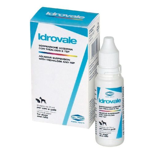 Idrovale Sospensione Acquosa Oculare