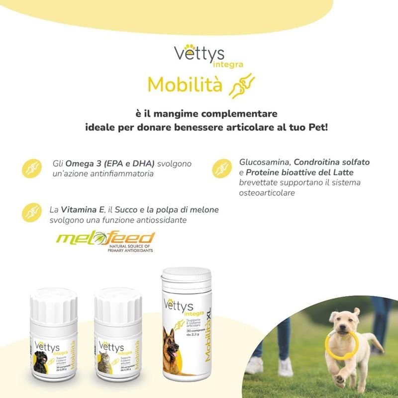 vettys-integra-mobilita-mangime-complementare-per-cani-10176679--5-