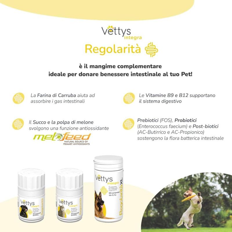 vettys-integra-regolarita-mangime-complementare-per-cani-10176680--5-