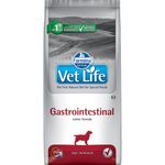 Farmina-Vet-Life-Intestinal-Cane-10176980-1