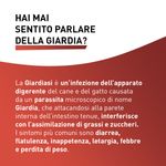 Panacur-Compresse-250-MG-10173104-2