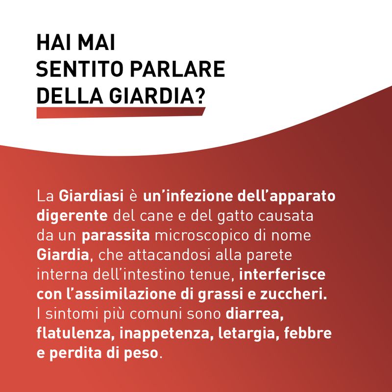 Panacur-Compresse-250-MG-10173104-2
