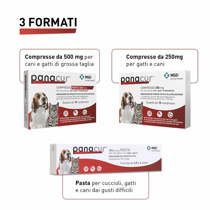 Panacur-Compresse-250-MG-10173104-5