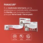 Panacur-Pasta-con-Siringa-1875-MGG-10173103-4