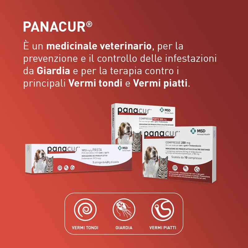 Panacur-Pasta-con-Siringa-1875-MGG-10173103-4
