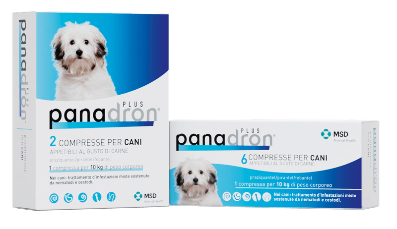 Panadron-Plus-Compresse-per-Cane