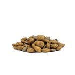 Forza10-Active-Vet-Diet-Dog-Mini-Toy-Dermo-10177065-4