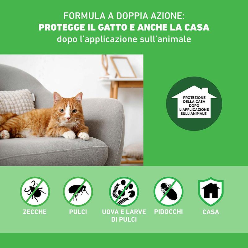 frontline-combo-antiparassitario-spot-on-per-gatti-10111671--3-