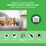 frontline-combo-antiparassitario-spot-on-per-gatti-00036168--3-