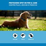 Frontline-Spot-On-Cane-10-20KG-10176984-3