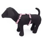 pettorina-reflective-nylon-cipria-10173724--1-