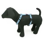 Pettorina-Reflective-Nylon-Celeste-10173722-1
