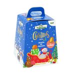 in-the-nature-cat-stella-di-natale-10169788--1-