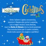 in-the-nature-cat-stella-di-natale-10169788--4-