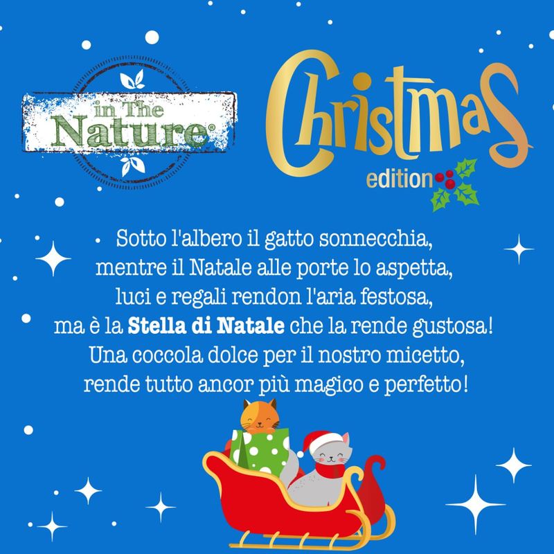 in-the-nature-cat-stella-di-natale-10169788--4-