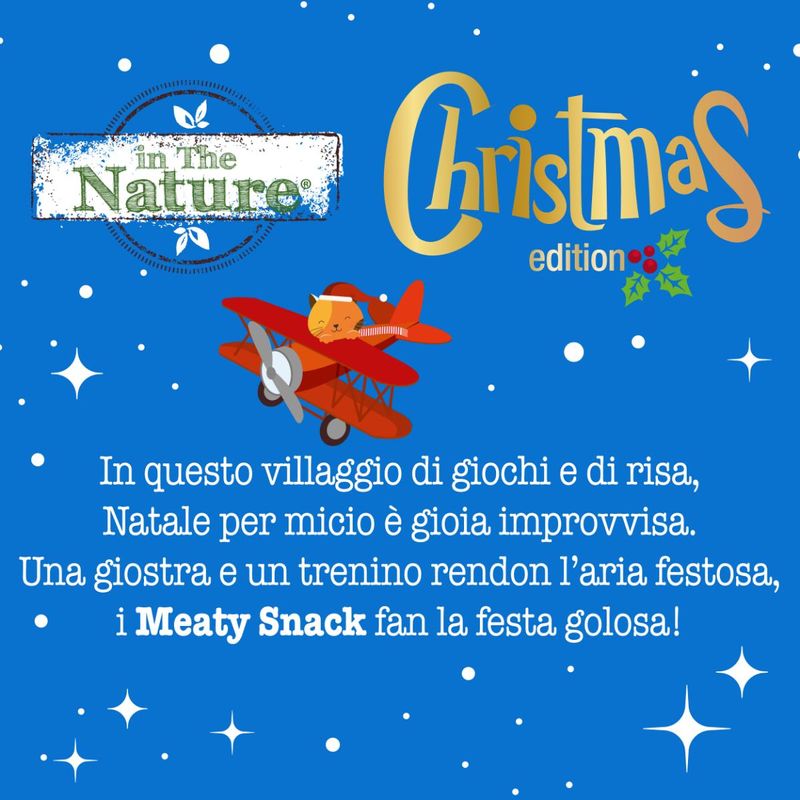 in-the-nature-gatto-snack-natalizio-ribbon-box-10173907--6-
