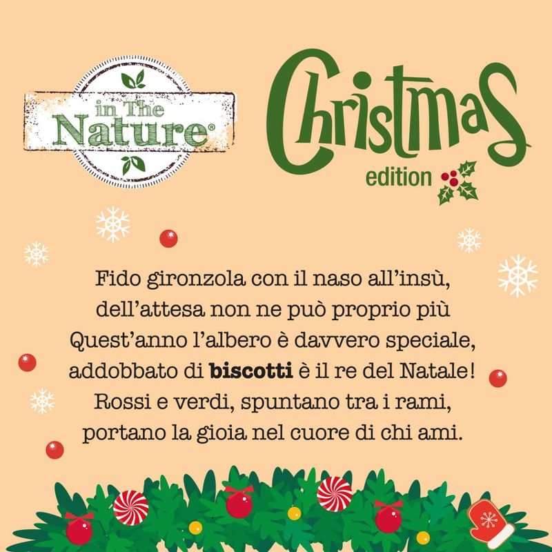 In-the-nature-dog-biscotti-albero-di-natale-150g-10170072--2-