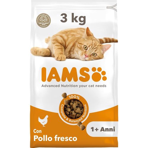 Iams Cat Pollo