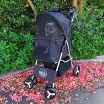 Passeggino-Cane-Giudy-Pro-10173509-2