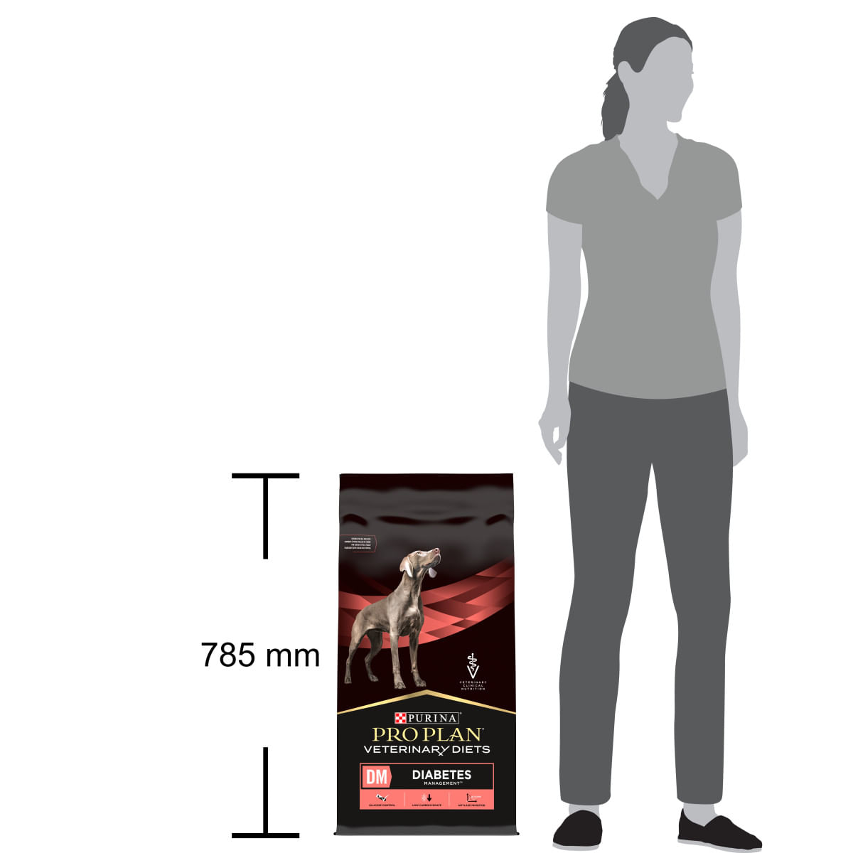 Purina Pro Plan Veterinary Diets Dm Diabetes Management Cane