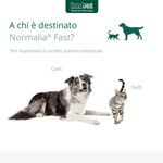 normalia-fast-mangime-complementare-10068435--4-